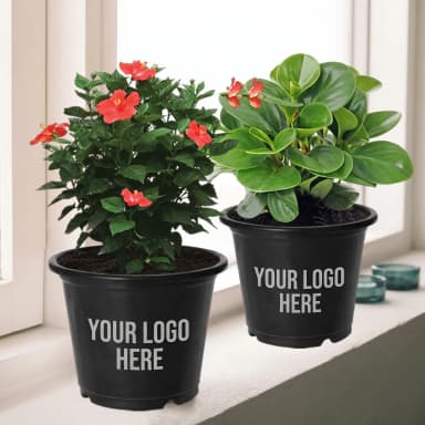 Garden Gifts